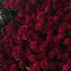 Meet your Posher, Jaden